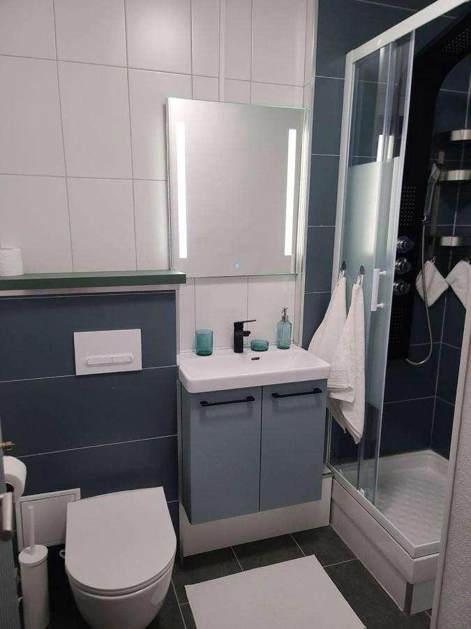 Magnifique Studio 26M2 Belfort Exterior photo